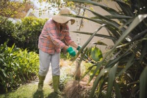 Grund für eine Abmahnung kann ein ungepflegter Garten sein.